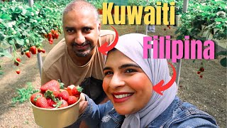 KAMI ng ASAWA kong KALBO 🧔‍♂️ Namitas ng STRAWBERRY 🍓 farm in Kuwait 🇰🇼 [upl. by Reinhardt766]