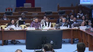 Part 3 Senate Hearing on Charter Change Hearing 2024 100 Foreign Ownership Philippines [upl. by Nairdad]