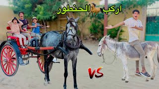 لما تشتغل انت واخوك الصغير علي حنطور في السياحة 🐎😂 علاء حسين [upl. by Mimajneb]