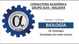 18 Histología Complejos de Unión [upl. by Tomasina]