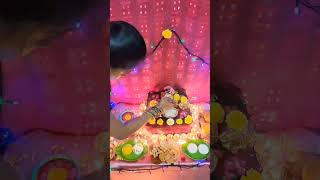 🦚Krishna Jayanthi Poojai🙏🏻 dkdineshdancer rajkumari krishnajanmashtami poojai trending reels [upl. by Siobhan]