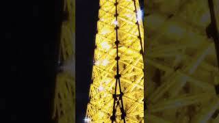 Eiffel Tower light show [upl. by Tiernan]