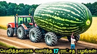 மிகப்பெரிய பழங்கள் மற்றும் காய்கறிகள்  Biggest fruits amp Vegetables Ever Created  Tamil Ultimate [upl. by Paul334]