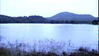 Mahendri Jungle Talao Lake near warud Evening beauty by Shirishkumar Patilmpg [upl. by Eerhs]