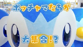 【公式】ポッチャマたちが大集合⁉ 「ポッチャマルシェ」紹介映像 [upl. by Euh616]