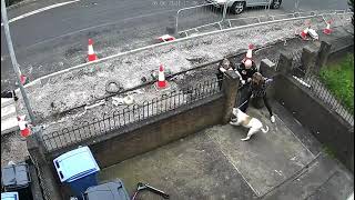 PSNI Unprofessionalism makes Demand￼s open the door after they Provoke￼ a dog in its own home ￼ [upl. by Nomolas574]