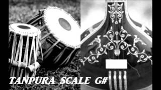 TANPURA SCALE G  scale G sharp [upl. by Sorcim801]