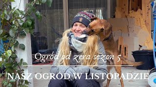 Nasz ogród  jak NIE prowadzić ogrodu ekologicznego Ogród od zera s05 [upl. by Ailehc]