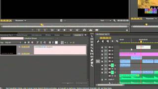 Premiere Pro Tutorial 11 Untertitel Grundlagen German  Deutsch [upl. by Eldnar]