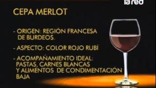 CLASES DE VINOS  CONOCE LOS DIFERENTES TIPOS DE VINOS [upl. by Merari]