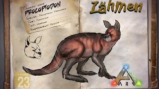 ARK‬ Survival Evolved GUIDEDeutsch  Procoptodon  Känguru zähmen [upl. by Uhayile]