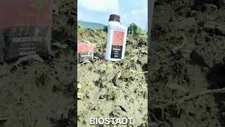 Biozyme Seed plus biostadt agriculture biostimulant organic seedtreatment [upl. by Otsugua]