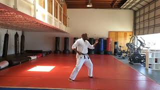 Kenpo Karate Short Form 1 [upl. by Amej]