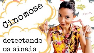 CINOMOSE  DETECTANDO OS SINAIS [upl. by Drummond]