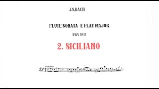 JS Bach SICILIANO from Flute Sonata in E flat MajorBWV 1031accompaniment [upl. by Surdna]