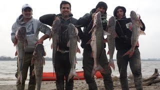 Pesca de paties MUY GRANDES en mazaruka CAMPING NEGO LA ARGENTINA [upl. by Refanej941]