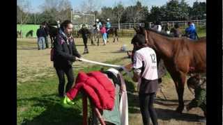 VIVIR EL HORSEBALL EN MADRID CLUB SHARKS LA PLAZA [upl. by Atiekahs]