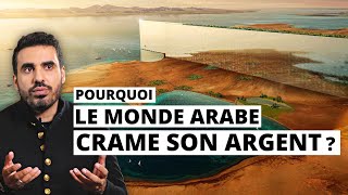 Pourquoi le monde Arabe déconne avec son argent   Idriss Aberkane [upl. by Aidnyc]