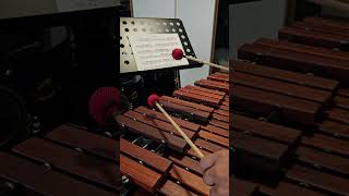 MS 2024 Timpani Region  Minimum Performance Tempo [upl. by Nomla]