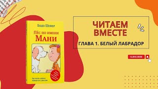 Бодо Шефер Пес по имени МАНИ Глава первая Белый лабрадор [upl. by Elmira]