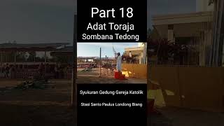 Part 18 Adat Suku Toraja Somba Tedong sukutoraja torajaunik shorts [upl. by Haneekas155]