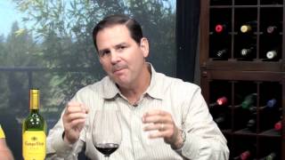 Campo Viejo Rioja Tempranillo 2010 Two Thumbs Up Wine Review [upl. by Pihc]