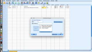 005 Datensatz in SPSS erstellen [upl. by Stortz]