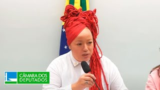 Direitos Humanos Minorias e Igualdade Racial  Discussão e votação de requerimentos  121124 [upl. by Javed]