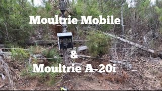 Moultrie Mobile and Moultrie A20i [upl. by Keyek444]