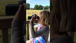 Denmarks’s Last Circus Elephant Ramboline’s Journey at Knuthenborg Safari Park animals nature [upl. by Levey]