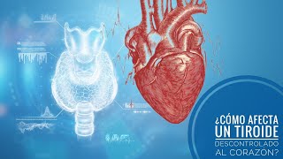 COMO AFECTA UN TIROIDE DESCONTROLADO AL CORAZON [upl. by Clementine]