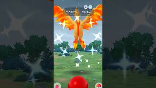 🤯😲worlds first SHINY GALARIAN MOLTRES caught in pokemon go [upl. by Shaffer]