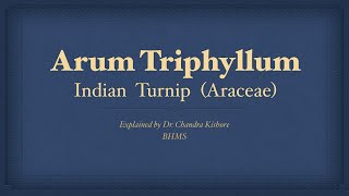 Arum Triphyllum  Allen’s Keynotes  Well Explained [upl. by Tarabar]