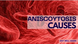 Anisocytosis Causes [upl. by Broadbent617]