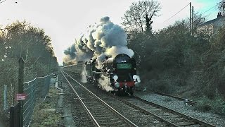 35028 Clan Line  The first Surrey Hills VSOE of 2015 [upl. by Yssim824]