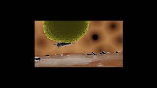 Immune Cell Eating Bacteria  opsonizationphagocytosis in 3D shorts [upl. by Naols]