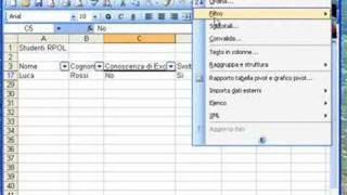 Filtri automatici in Excel [upl. by Leahcimrej]