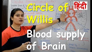 Circle of Willis in Hindi  Blood supply to brain in Hindi  Circulus Arteriosus [upl. by Ikoek]