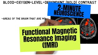 2Minute Neuroscience Functional Magnetic Resonance Imaging fMRI [upl. by Westmoreland]