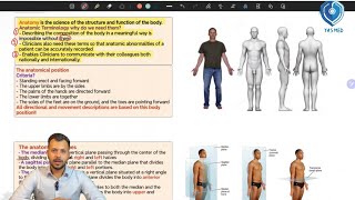 Part 1 Anatomical planes amp Anatomical terminology 1 [upl. by Elahcim]