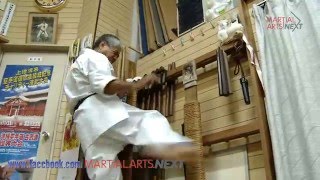 Secrets of karate Makiwara [upl. by Hetty]