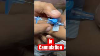 Iv cannulation cannula ivtherapy mbbs aiims SMpharmacy subscribe medicalequipment [upl. by Sucramrej739]