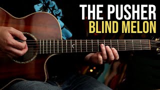 How to Play quotThe Pusherquot by Blind Melon  Guitar Lesson [upl. by Sirkin]