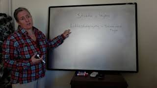 Lithostratigraphy and Chronostratigraphy  Introduction to how they differ sed strat [upl. by Khalid915]