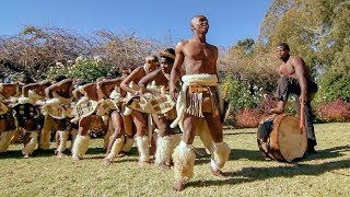 Zulu Dance Explosion A Powerhouse of Tradition and Agility in Every Step 🕺💃 [upl. by Eetnom]