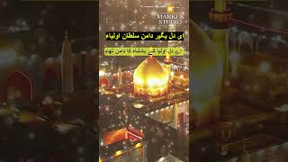 Aye Dil Bageer Damane Sultane Aulia  Manqabat Imaam Hussain By Hazrat Shah Niaz molvihaider [upl. by Skolnik]