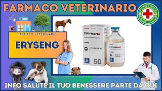 🐶 ERYSENG Farmaco Veterinario a cosa serve   Foglietto Illustrativo 👔 Dr MAX [upl. by Euginimod]