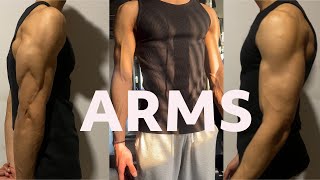 How To Build AESTHETIC ARMS  HINDI [upl. by Yelrac]