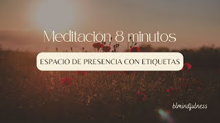 Meditación  ESPACIO DE PRESENCIA CON ETIQUETAS 8 minutos [upl. by Megan483]