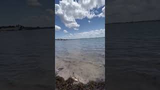 Low tide at Gulfport Florida [upl. by Neeron705]